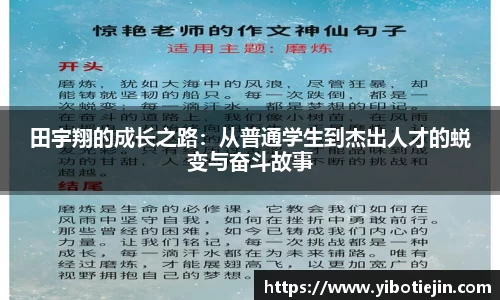 3377体育